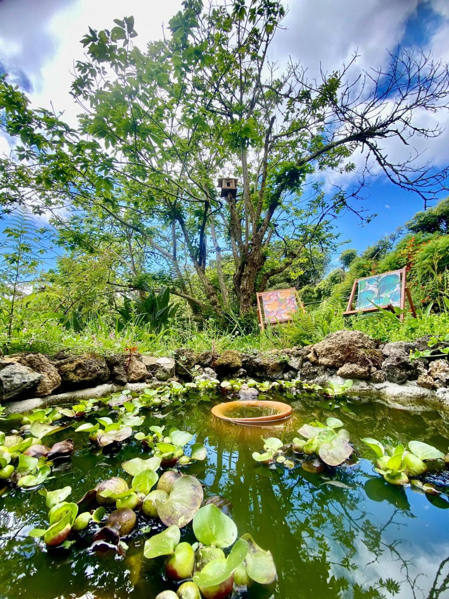 Casa Dos Castanheiros Angra Do Heroismo Terra Chã Exterior foto